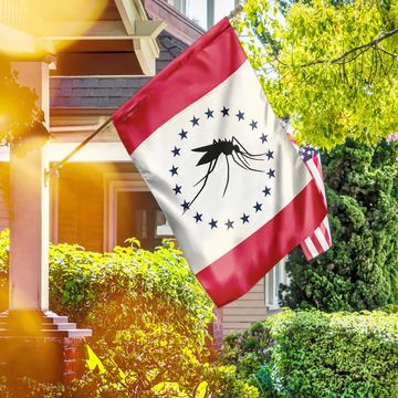 Discover Mississippi. The Mosquito Flag