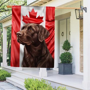 Discover Chocolate Labrador Dog Canadian Flag