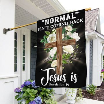 Discover Jesus Flag 