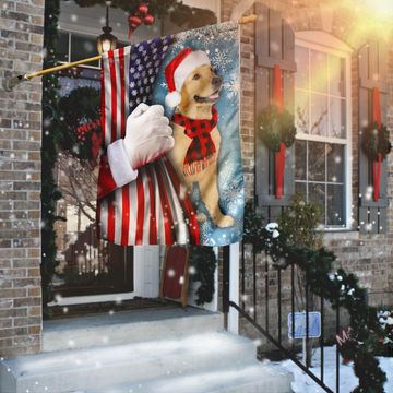 Discover Golden Retriever Through The Snow Flag