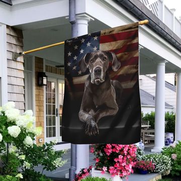Discover Great Dane American Flag