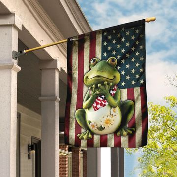 Discover Frog American Flag
