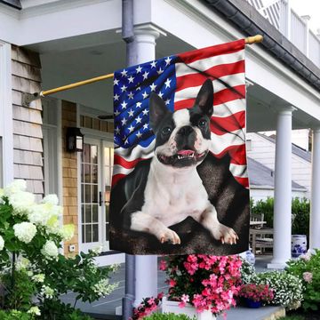 Discover Boston Terrier. American Patriot Flag