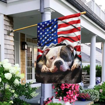 Discover Pit Bull. American Patriot Flag
