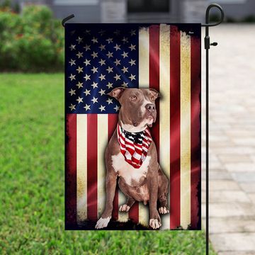 Discover Pit bull American Flag