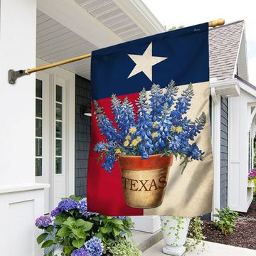 Discover Texas State Bluebonnet Flower Flag