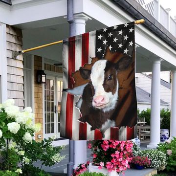 Discover Cow Cattle Farm American Flag