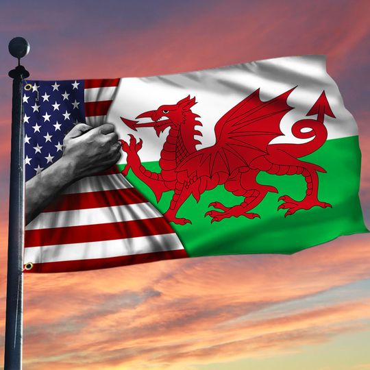 Welsh American Grommet Flag