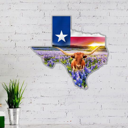 Texas Hanging Metal Sign Bright Star