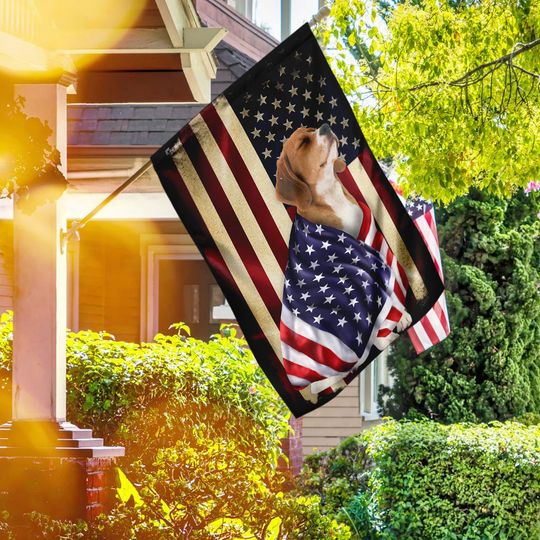 Beagle  American Patriot Wrapped in Glory Flag