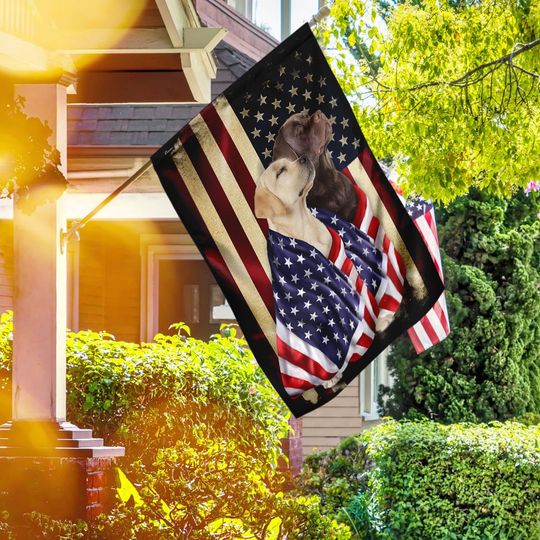 Chocolate And Yellow Labrador Retrievers American Patriot Wrapped in Glory Flag