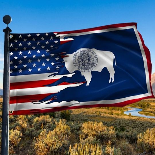Wyoming And American Grommet Flag