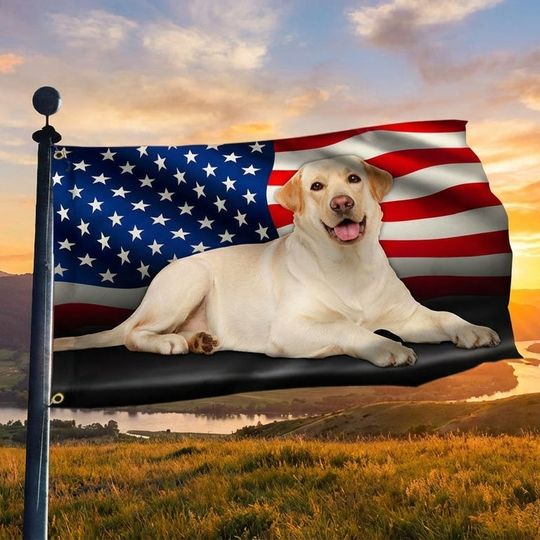 Yellow Labrador Retriever American Grommet Flag QNN437GFv8