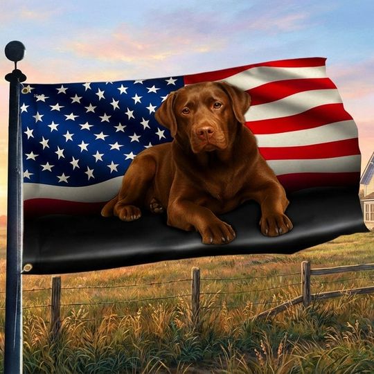 Chocolate Labrador Retriever Dog American Grommet Flag