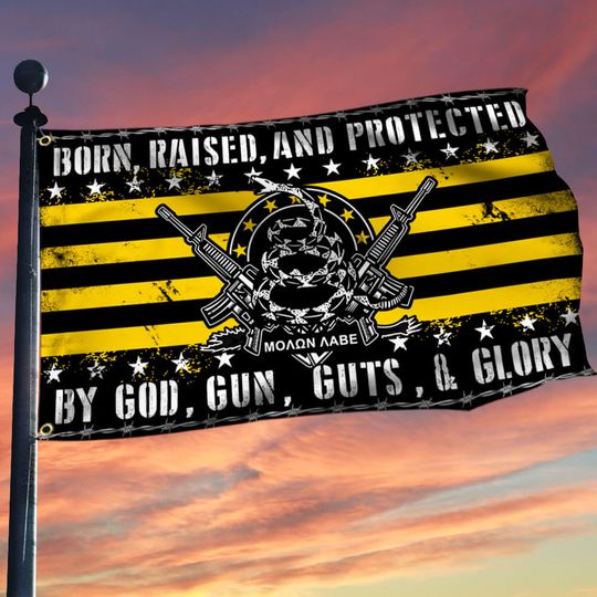 Second Amendment Gadsden Flag THB2212GFv1