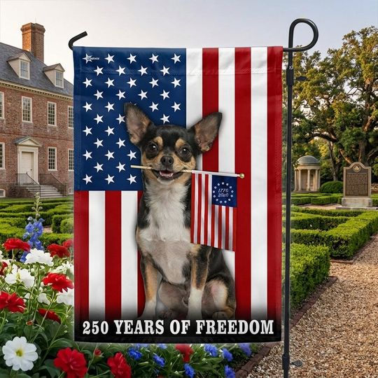 Dog American Flag, 250 Years of Freedom Chihuahua US Flag
