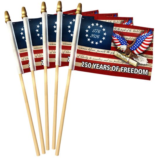 Patriotic 250 Years of Freedom Flag, We The People 1776 2026 Handheld Flag